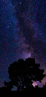 A stunning view of the starry night sky with galaxy patterns and a tree silhouette.