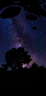 Silhouette of trees under a vibrant, starry night galaxy.