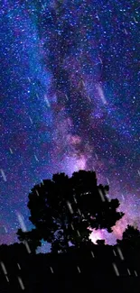 Silhouette of a tree beneath a starry night sky.