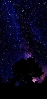 Starry night sky with Milky Way visible.