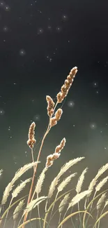 Starry night with grasses under a dark blue sky, perfect mobile wallpaper.