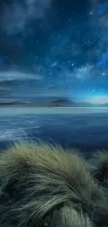 A starry night sky over a calm lakeside view with blue tones.