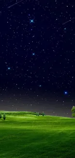 A serene starry night landscape with green fields.