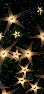 Glowing golden stars on a dark green background.