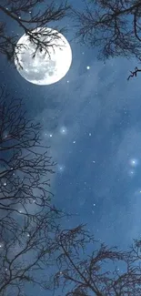 Moonlit night sky with stars and branches.