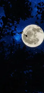 A bright full moon glowing in a starry night sky, framed by silhouetted tree branches.