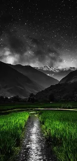 Green fields under starry night sky with mountain view.