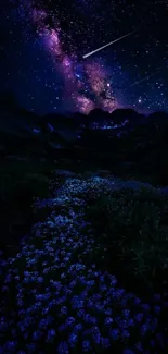 Starry night over mountain path with Milky Way and vivid floral meadows.