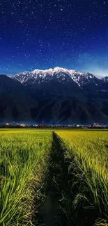 Starry night sky over snow-capped mountains and green fields.