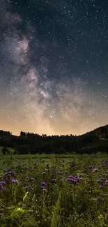 Starry night sky with field of wildflowers.