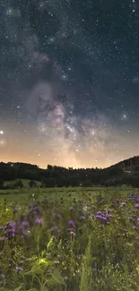 Starry night sky over a field of wildflowers with a tranquil aesthetic.