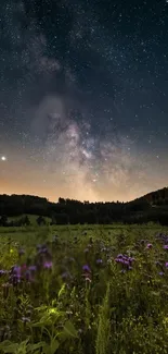 Starry night over a field of wildflowers with a visible galaxy backdrop.