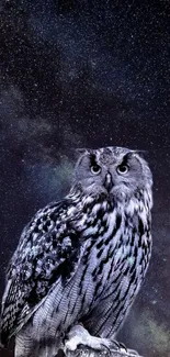 Majestic owl against a starry night sky on mobile wallpaper.