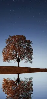 Lone tree reflecting under a starry night sky.