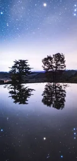 Reflective night sky with starry backdrop and silhouetted trees