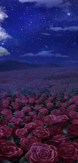 Starry night sky over a field of pink roses showcasing tranquility.