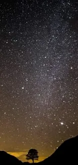 Silhouette of a tree against a starry night sky background.