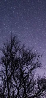 Beautiful starry night sky with tree silhouettes in the foreground.