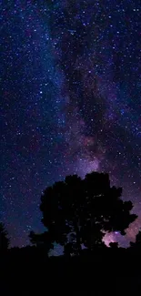 Starry night sky with tree silhouettes and a galaxy backdrop.