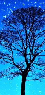 Silhouette of a tree under a starry blue night sky.