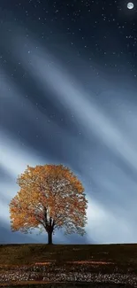 Lone tree under a starry night sky with a visible moon.