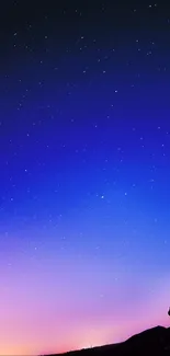 Starry night sky with a blue gradient and silhouetted landscape.