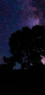 Starry night sky with silhouetted trees and vibrant cosmic display.