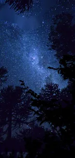 Starry night sky and silhouetted trees wallpaper.