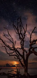 Tree silhouette under a starry night sky.