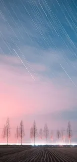 Starry sky with trails over silhouetted trees.