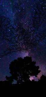 Silhouette of trees against a starry night sky with galaxy backdrop.