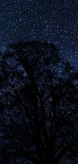 Silhouetted tree against a starry night sky with a deep blue background.