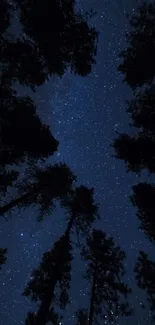 Starry night sky with tall dark trees forming a silhouette.