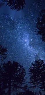 Starry night sky with silhouetted trees.