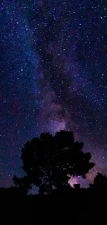 Vibrant starry night sky with tree silhouette.