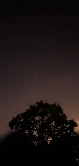 Starry night sky with tree silhouette in a serene mobile wallpaper.