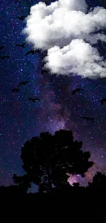 Starry night sky with birds silhouette wallpaper.