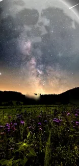 Starry night sky with moonlit landscape and wildflowers.