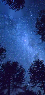 Starry night sky with silhouetted trees and dark blue hues.