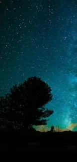 Starry night sky wallpaper with tree silhouette