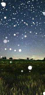 Starry night sky over a serene field.