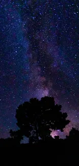 Silhouette of trees against a starry night sky with Milky Way.