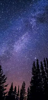 Starry night sky with silhouetted trees and a galaxy backdrop.