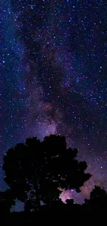 Vibrant navy blue night sky with stars and silhouetted trees under Milky Way.