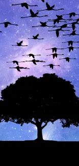 Silhouetted tree with birds against a starry purple sky.