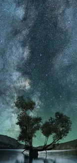 Silhouette of trees under a starry night sky reflecting on water.