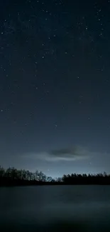 Beautiful starry night sky over a calm lake with silhouetted trees.