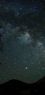 A mesmerizing starry night sky captures cosmic beauty.