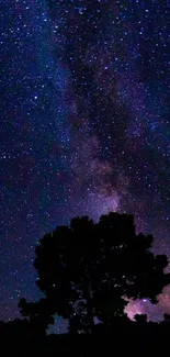 Silhouette of trees under a starry night sky with Milky Way view.