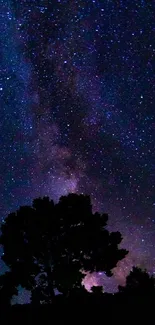 Silhouette of tree against starry night sky.